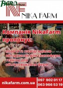 1agro.com.ua