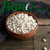 1agro.com.ua