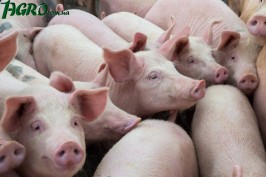 1agro.com.ua