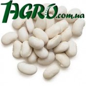 1agro.com.ua