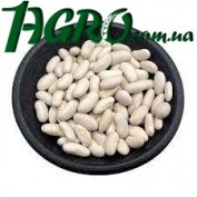 1agro.com.ua