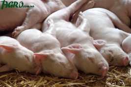 1agro.com.ua