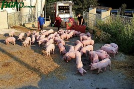 1agro.com.ua