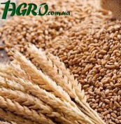 1agro.com.ua