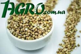 1agro.com.ua