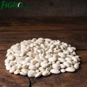 1agro.com.ua