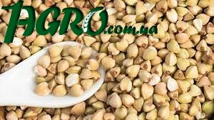 1agro.com.ua