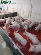 1agro.com.ua
