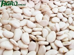 1agro.com.ua