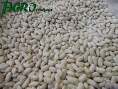 1agro.com.ua