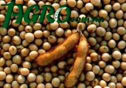 1agro.com.ua