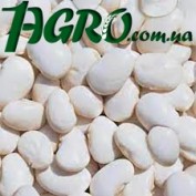 1agro.com.ua
