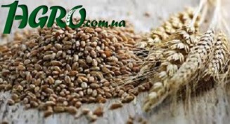 1agro.com.ua