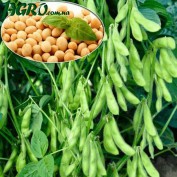 1agro.com.ua