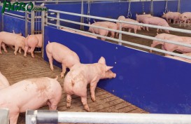 1agro.com.ua