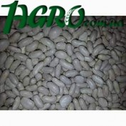 1agro.com.ua