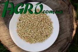 1agro.com.ua