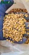 1agro.com.ua