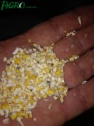 1agro.com.ua
