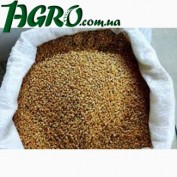 1agro.com.ua