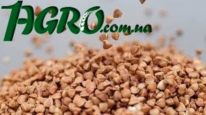 1agro.com.ua