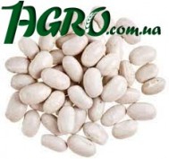 1agro.com.ua