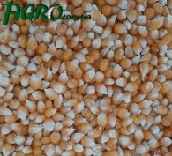 1agro.com.ua