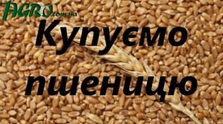 1agro.com.ua