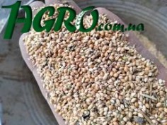 1agro.com.ua