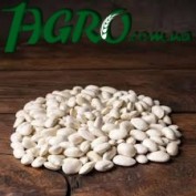 1agro.com.ua