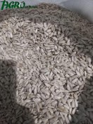 1agro.com.ua