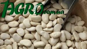1agro.com.ua