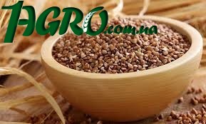 1agro.com.ua