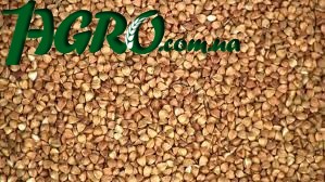 1agro.com.ua