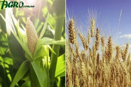 1agro.com.ua