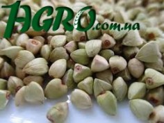 1agro.com.ua