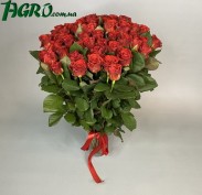 1agro.com.ua