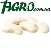 1agro.com.ua