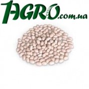 1agro.com.ua