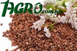 1agro.com.ua