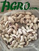 1agro.com.ua