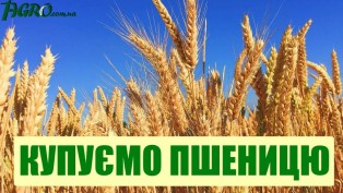 1agro.com.ua