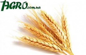 1agro.com.ua