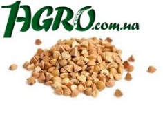 1agro.com.ua
