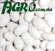 1agro.com.ua