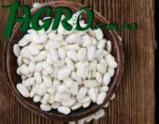 1agro.com.ua