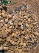 1agro.com.ua