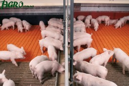 1agro.com.ua
