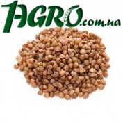 1agro.com.ua