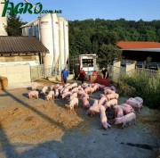 1agro.com.ua